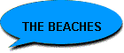 THE BEACHES